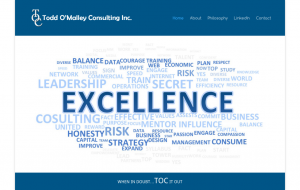 todd omalley consulting